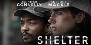 shelter 2014