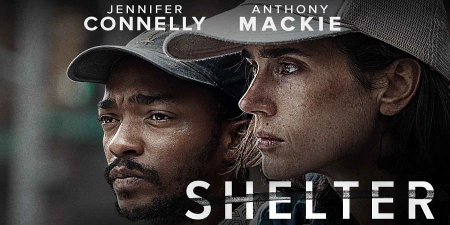 shelter 2014
