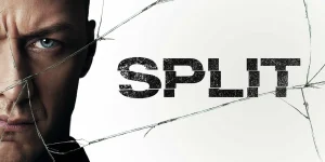 split 2016