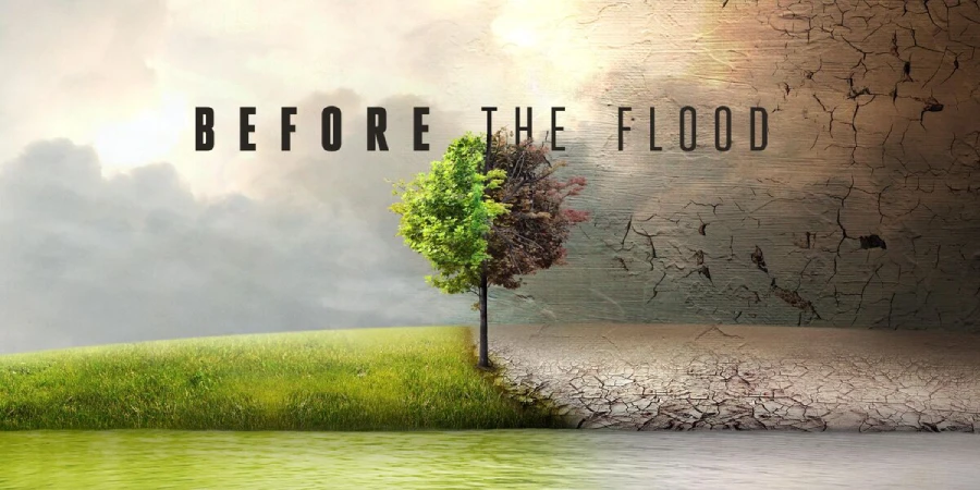 before the flood 2006