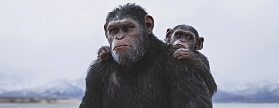war for planet of apes 2017