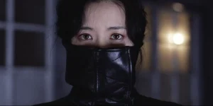 lady vengeance 2005