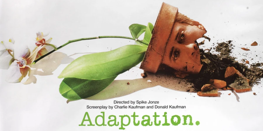 adaptation 2002