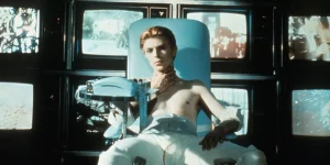 the man who fell to earth 1976
