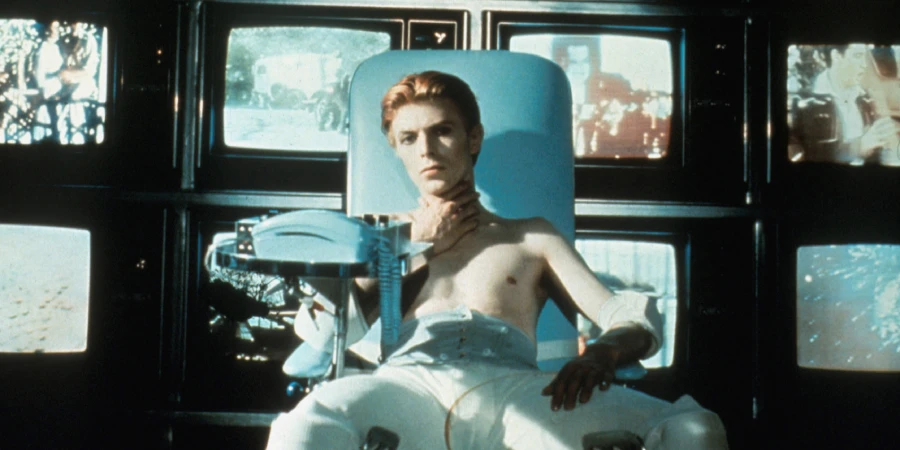 the man who fell to earth 1976