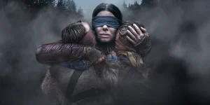 bird box 2018