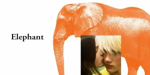 elephant 2003
