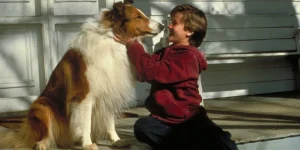 lassie 1994