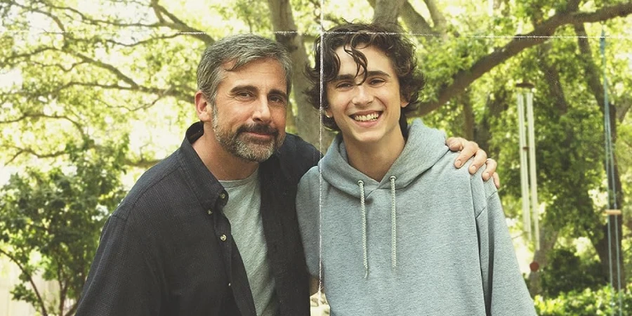 beautiful boy 2018
