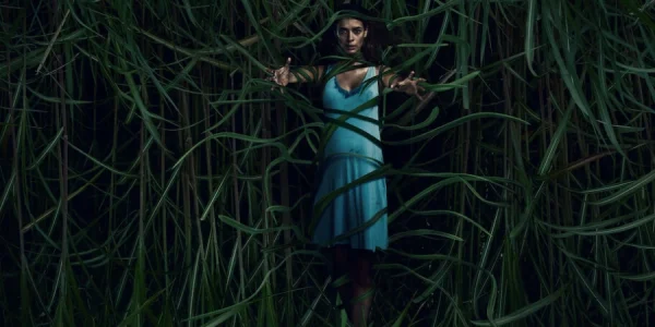 in the tall grass 2019