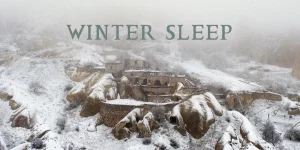 winter sleep 2014