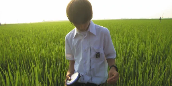 all about lily chou-chou 2001