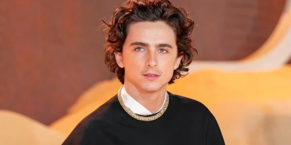 timothee chalamet movies awards and net worth