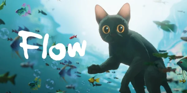 flow 2024