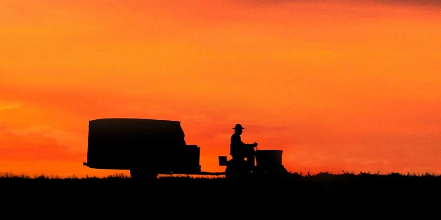 the straight story 1999