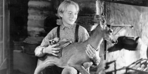 the yearling 1946