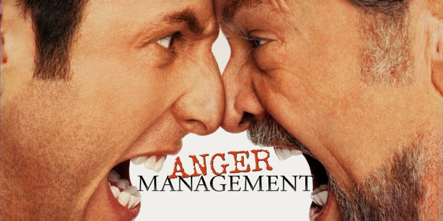 anger management 2003