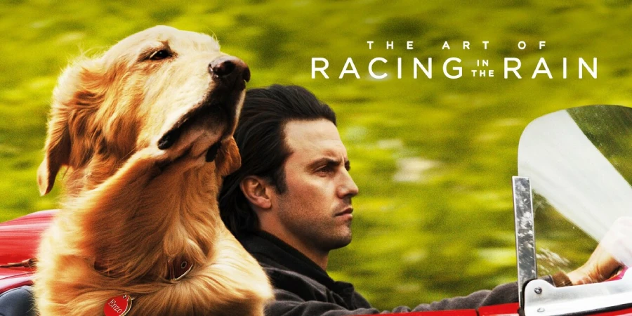 the art of racing in the rain 2019