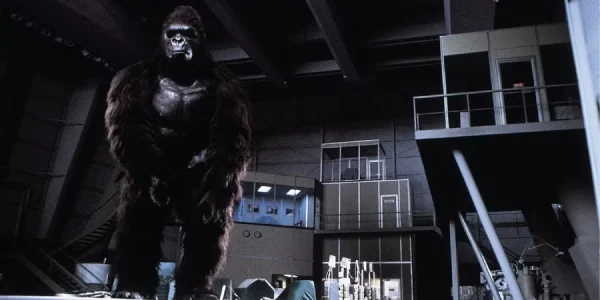 king kong lives 1986