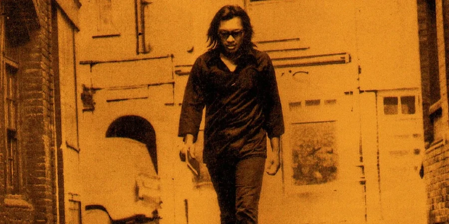 searching for sugar man 2012