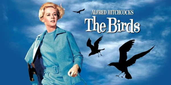 the birds 1963