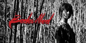 bedevilled 2010