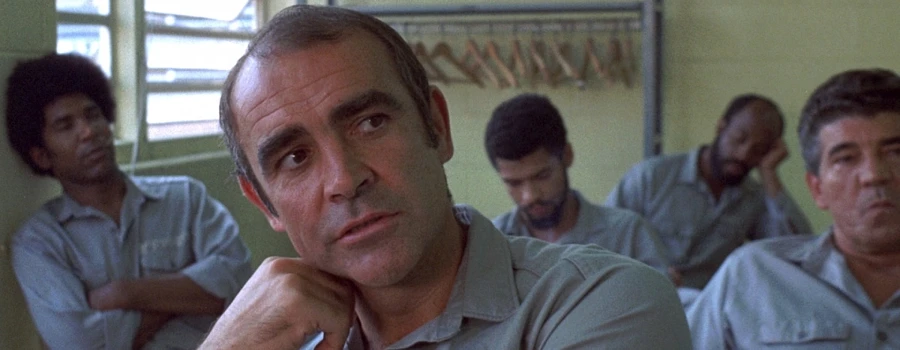 the anderson tapes 1971 heist movie