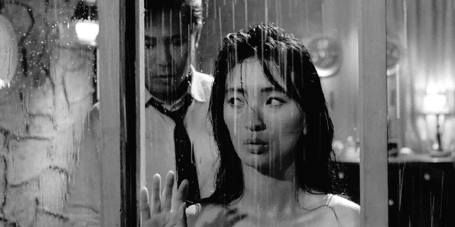 the housemaid 1960